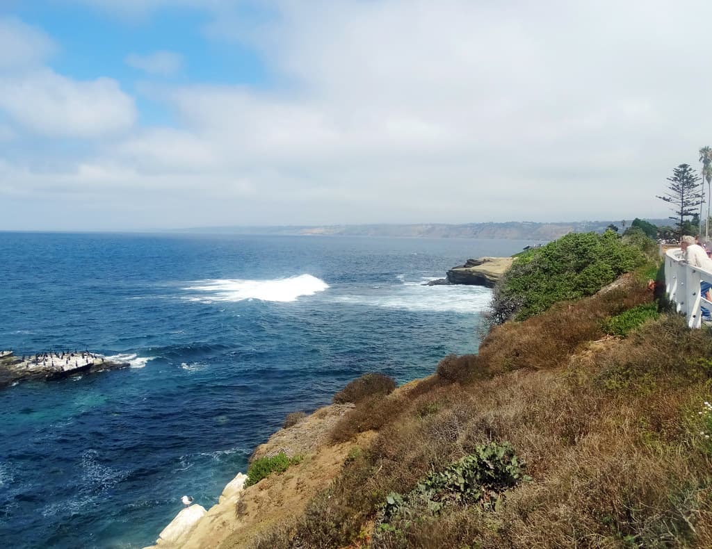 Contemplation, La Jolla Cove, CA 9--17