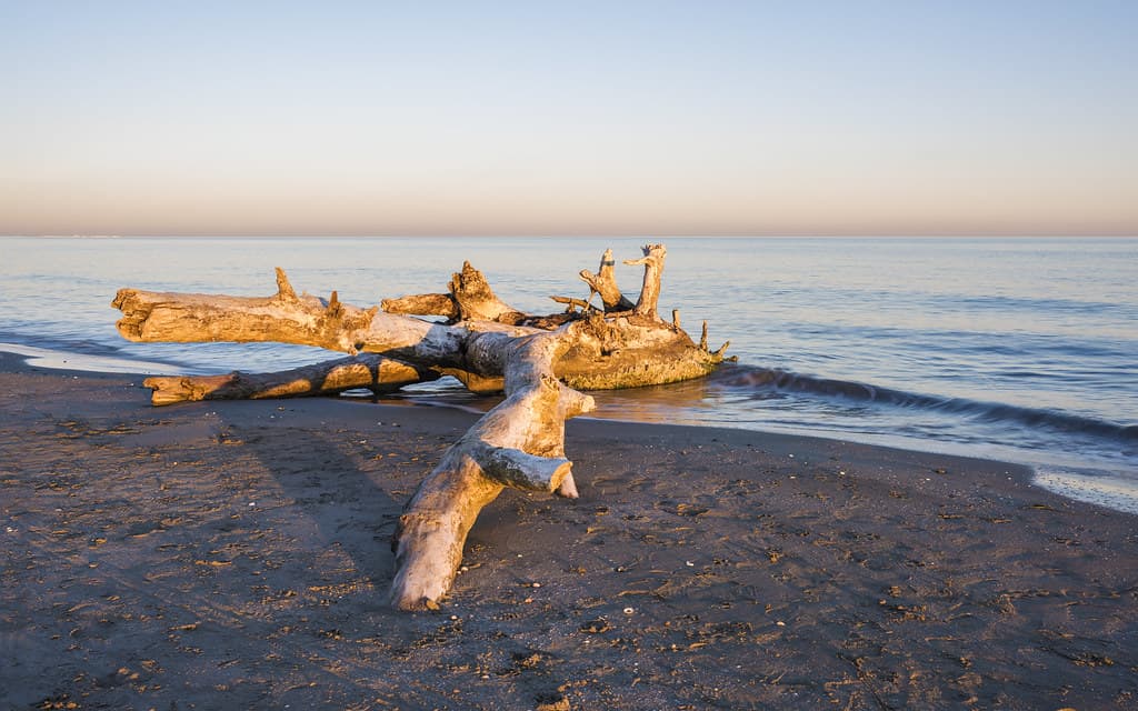 Plage de Frontignan — photo by . Christian Ferrer .