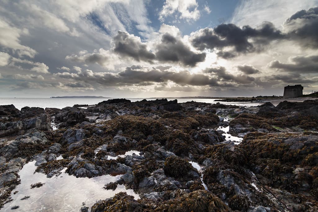 Rock Pools