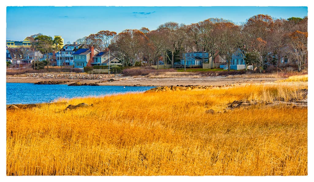 Low Tide