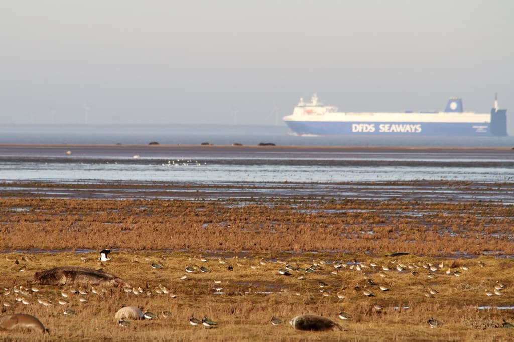 Grainthorpe Haven Beach
