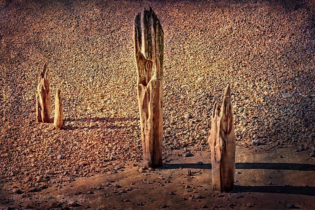 Fairlight Glen Beach — photo by Dave Hilditch Photography