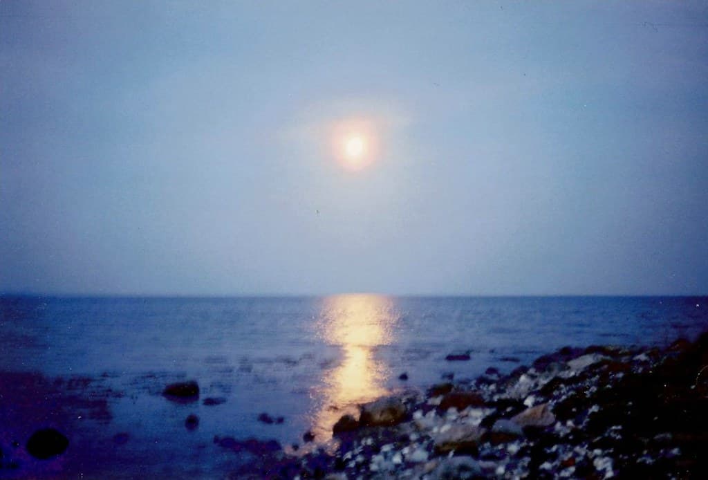 Kysing Næs Beach — photo by hgaronfolo1984