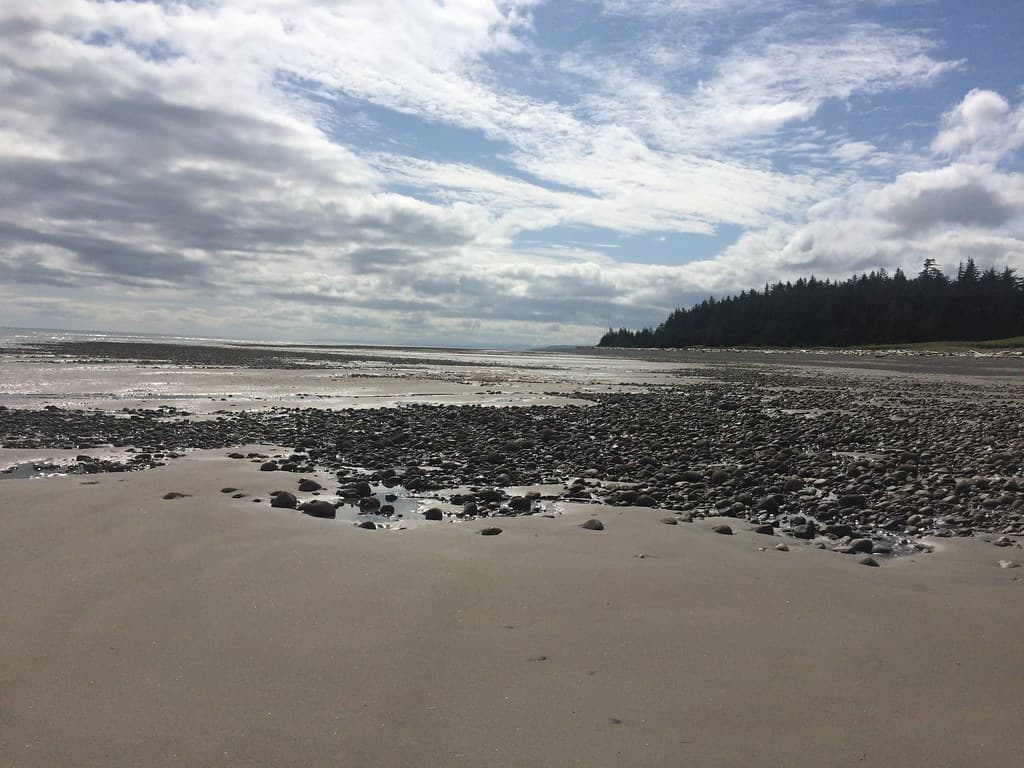 Agate Beach — photo by Christine Rondeau