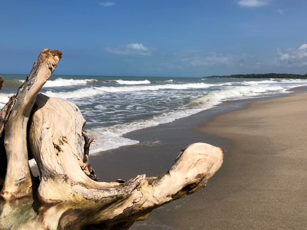 Playa Palomino — photo by Yássef