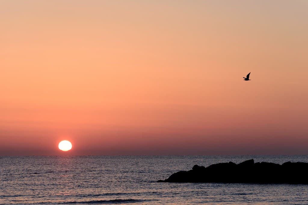 Plage de Palavas-les-Flots — photo by NathalieSt