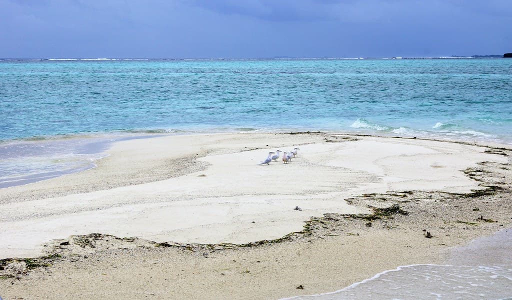 Bikini Beach Thulusdhoo — photo by Mickey Luigi Løgitmark