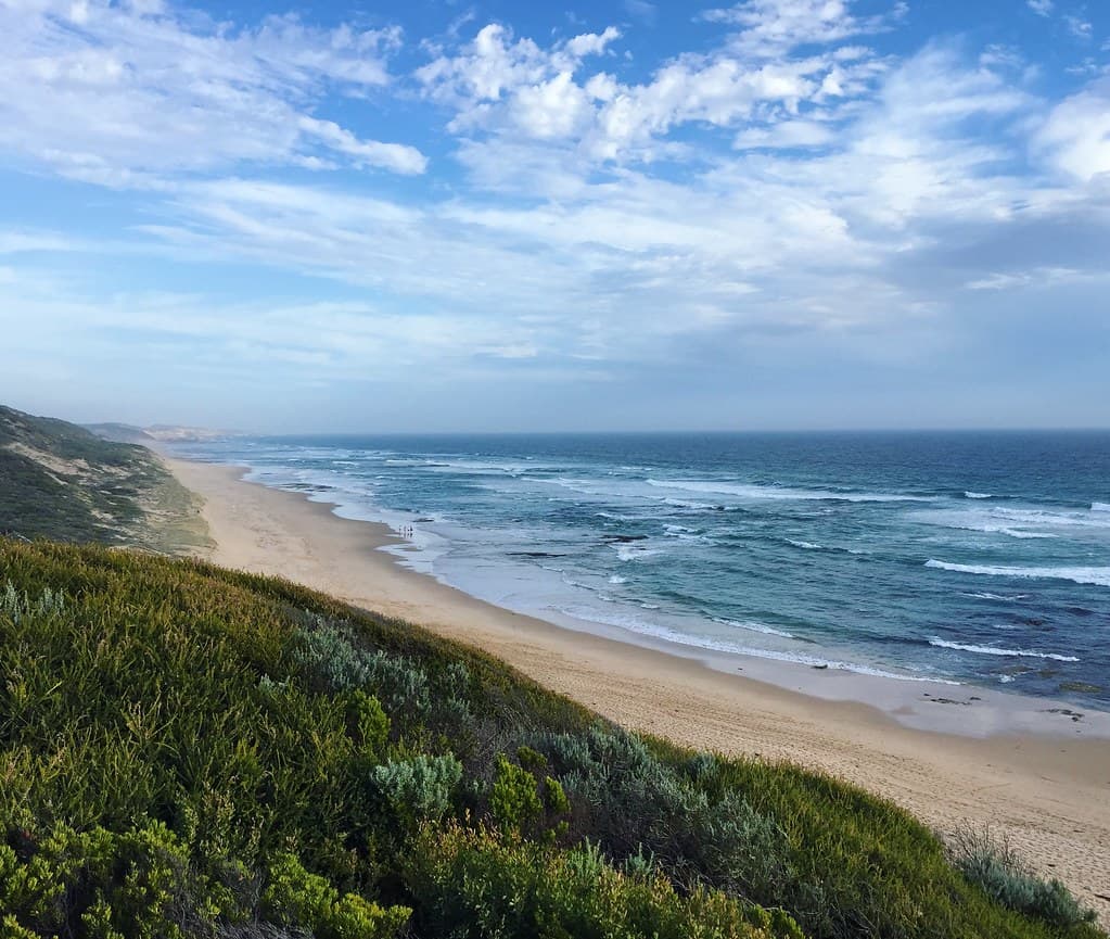 Portsea Back Beach