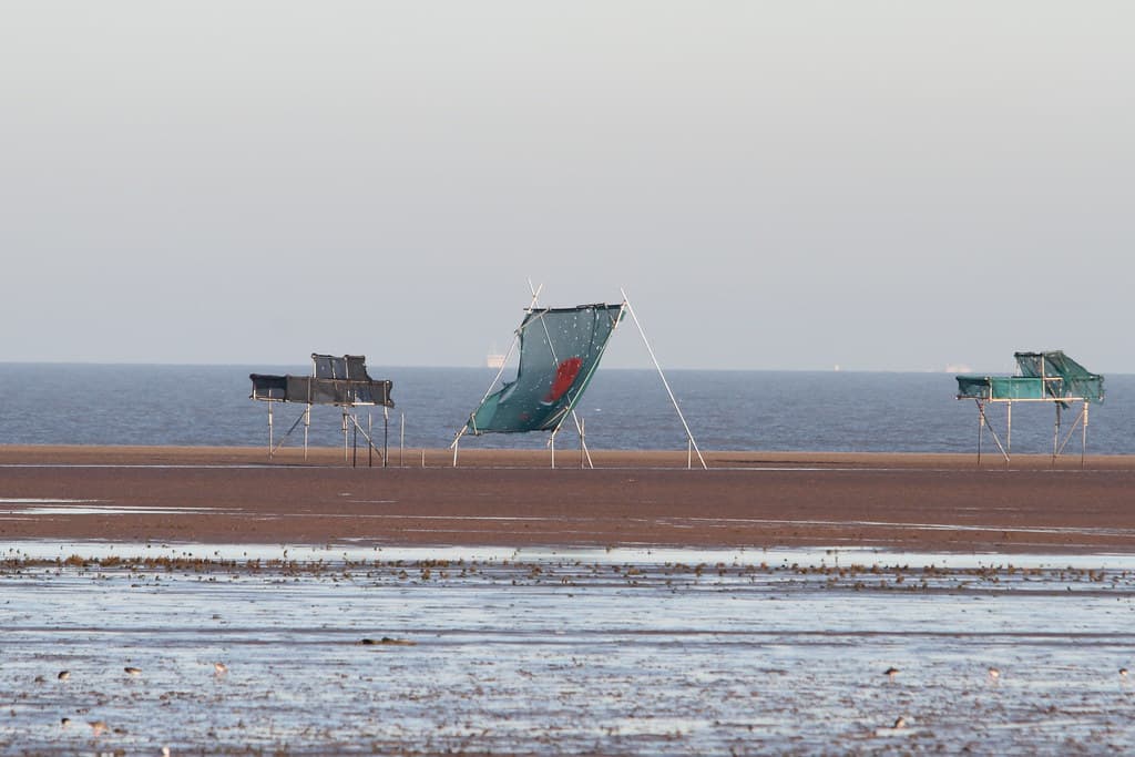 Donna Nook Beach — photo by Paul Marfell