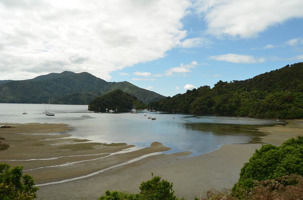Mistletoe Bay Beach — photo by Pedro Nuno Caetano