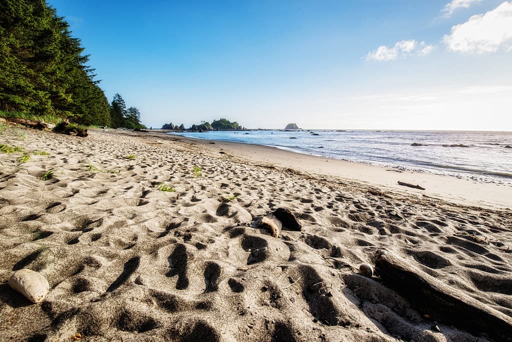 Toleak Point Beach