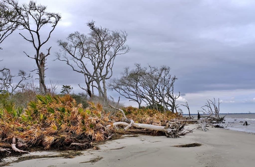 Jekyll Point Beach