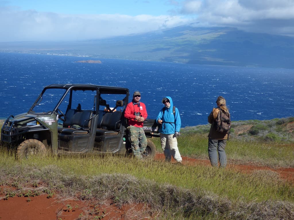 Kahoolawe Christmas Bird Count - 2017