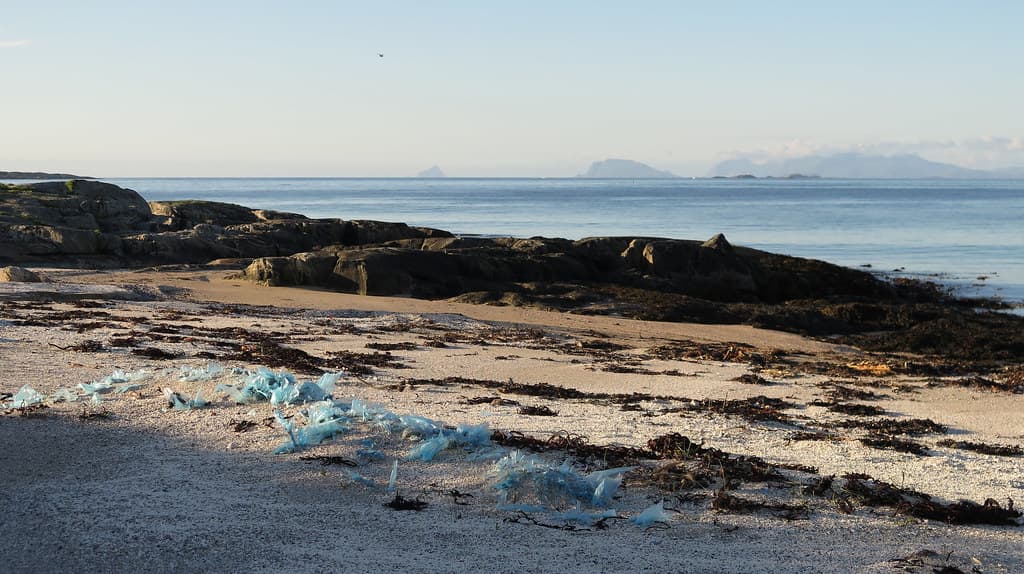 Rekvik Beach