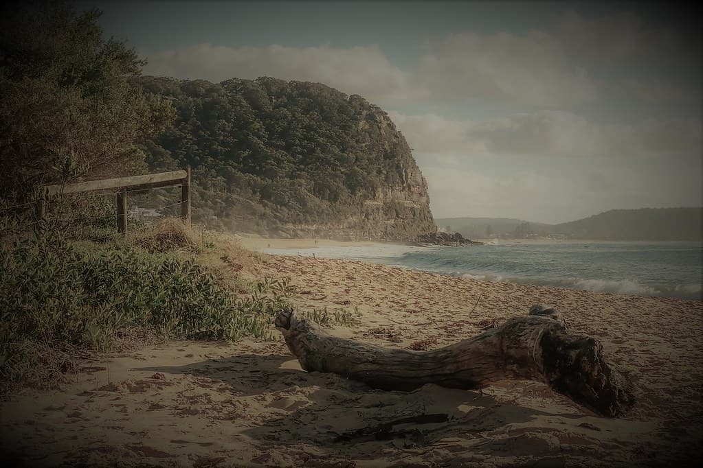 Pearl Beach Headland