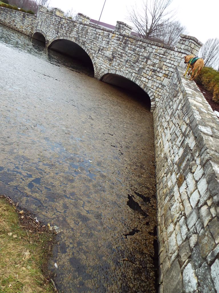 Bridge Over Troubled Waters