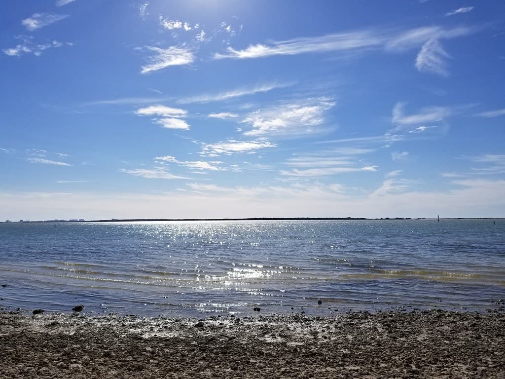 Florida Winter 2018