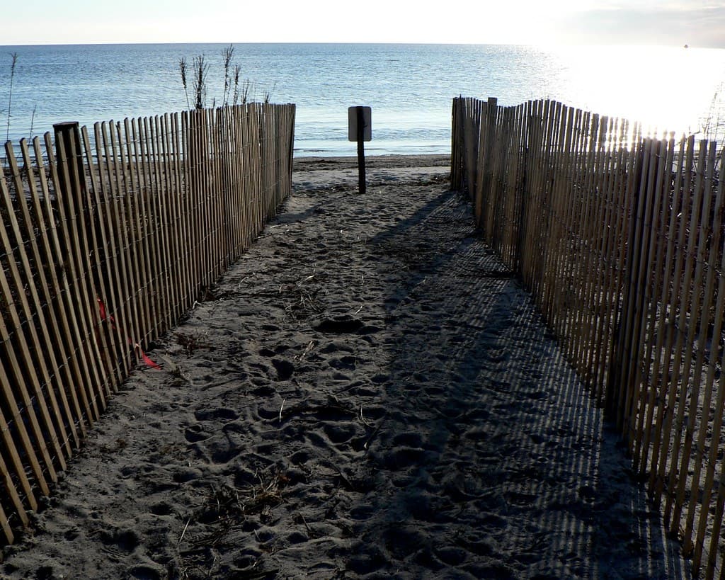 Walkway to Delaware Bay