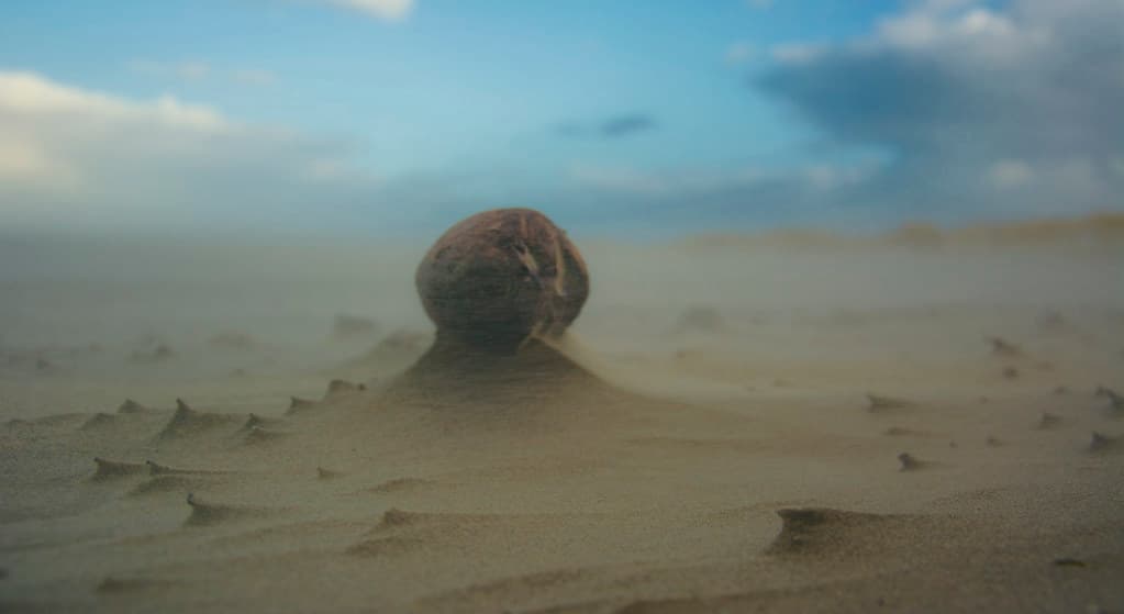 Oosterend Beach — photo by Nils van Rooijen