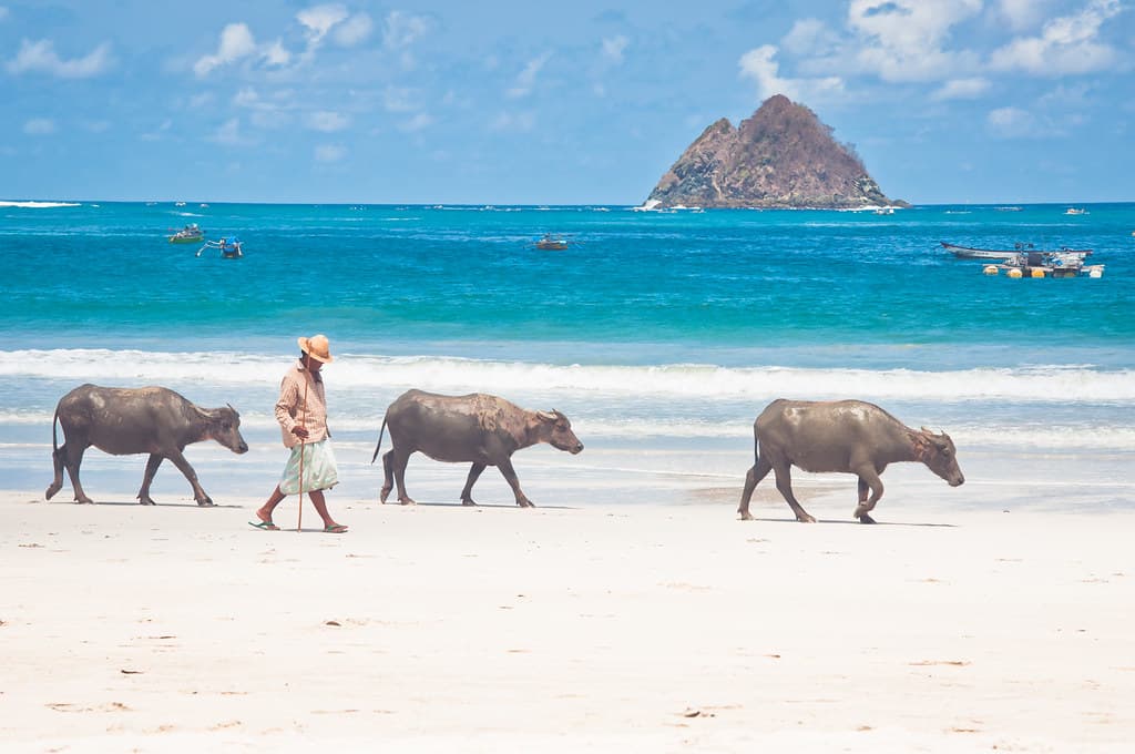 Rancher at Selong Belanak Beach in Lombok, Indonesia