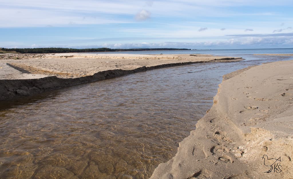 Vintse Beach — photo by keijo_segerstedt