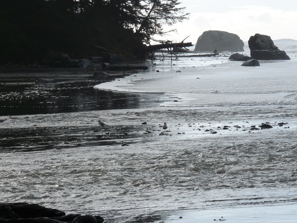 Whaleshead Beach