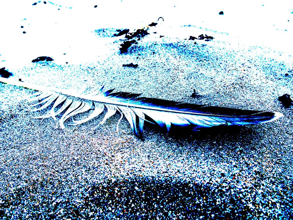 Discarded