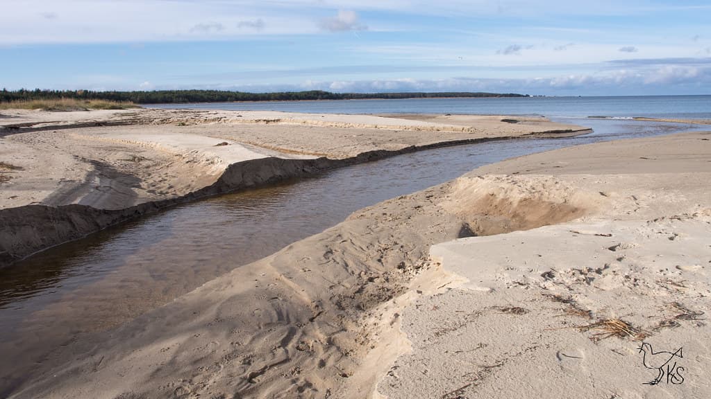 Vintse Beach