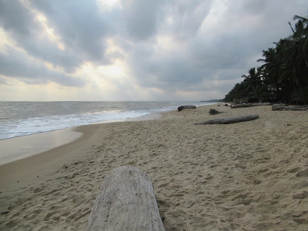 Tropicana Beach