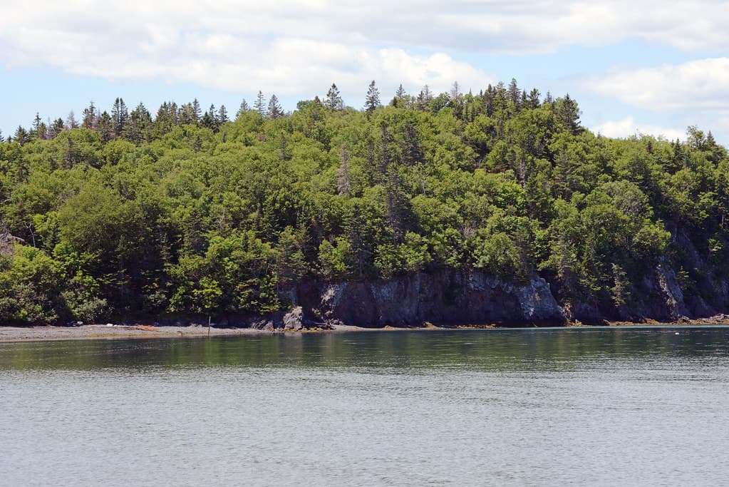 Campobello_2018 07 12_3245