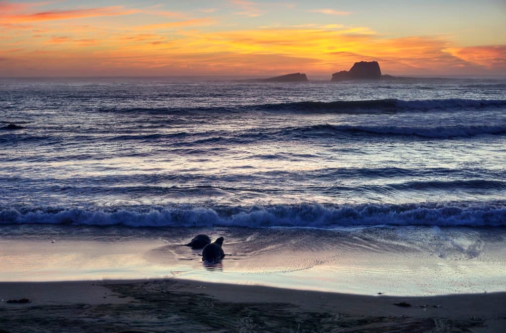 Back Bay Beach