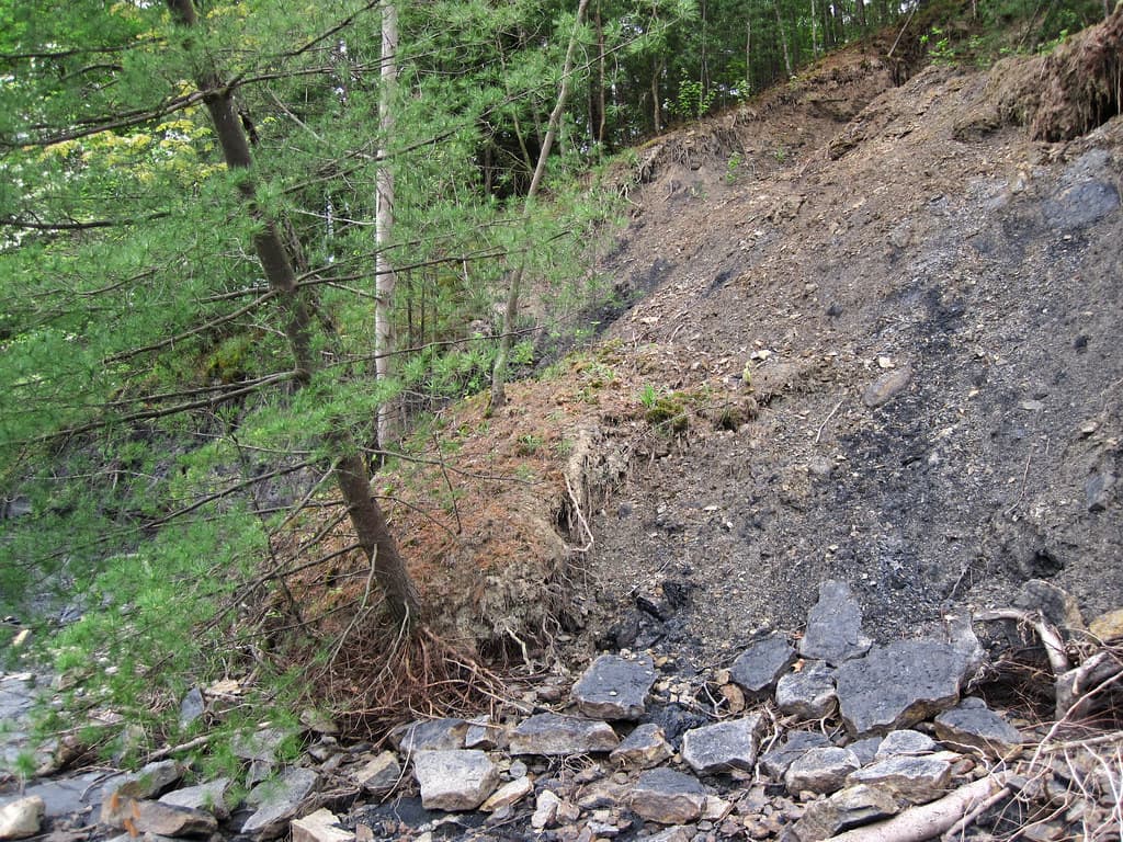 Small landslide (Beach City Dam Outcrop, Tuscarawas County, Ohio, USA) 1
