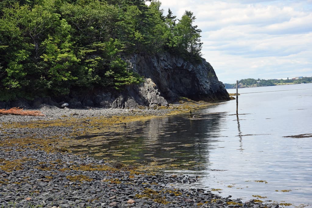 Campobello_2018 07 12_2668