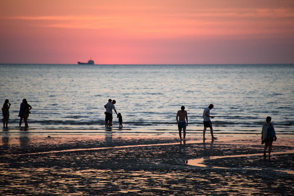 Twilight Beachcombers