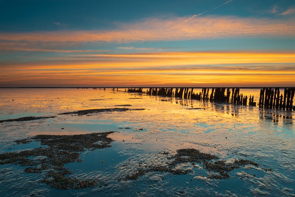 Ternaard Quiet Shore — photo by johan wieland
