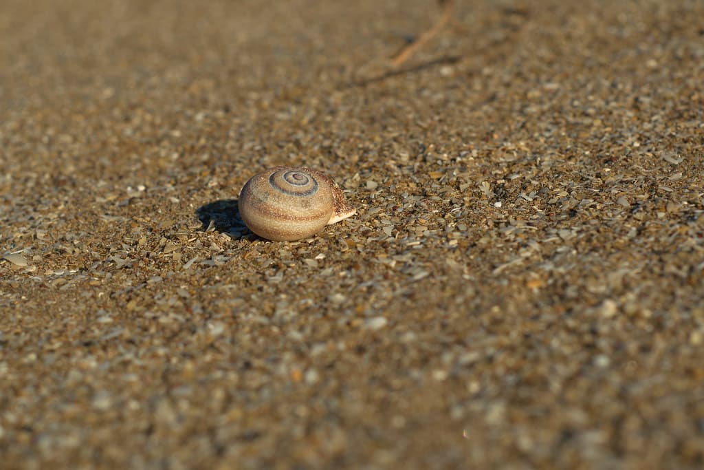 Playa Cariló