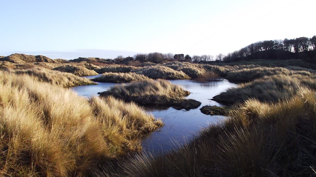 "I heard the ripple washing in the reeds"