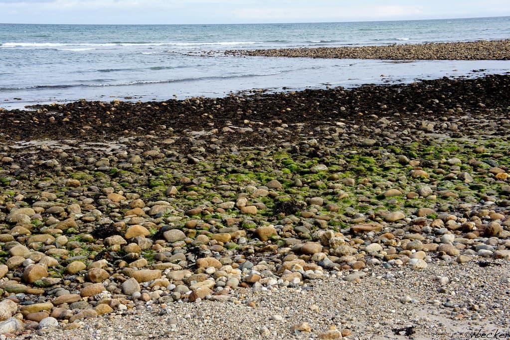 Squibnocket Beach