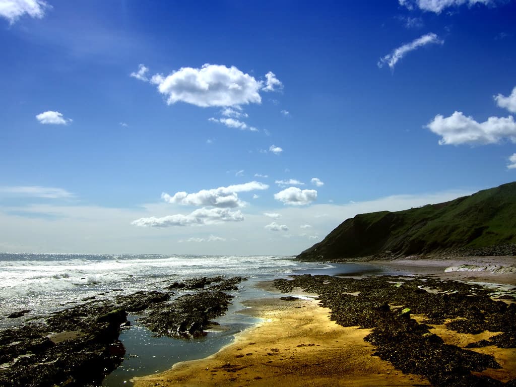 Cheswick Sands — photo by Neal.