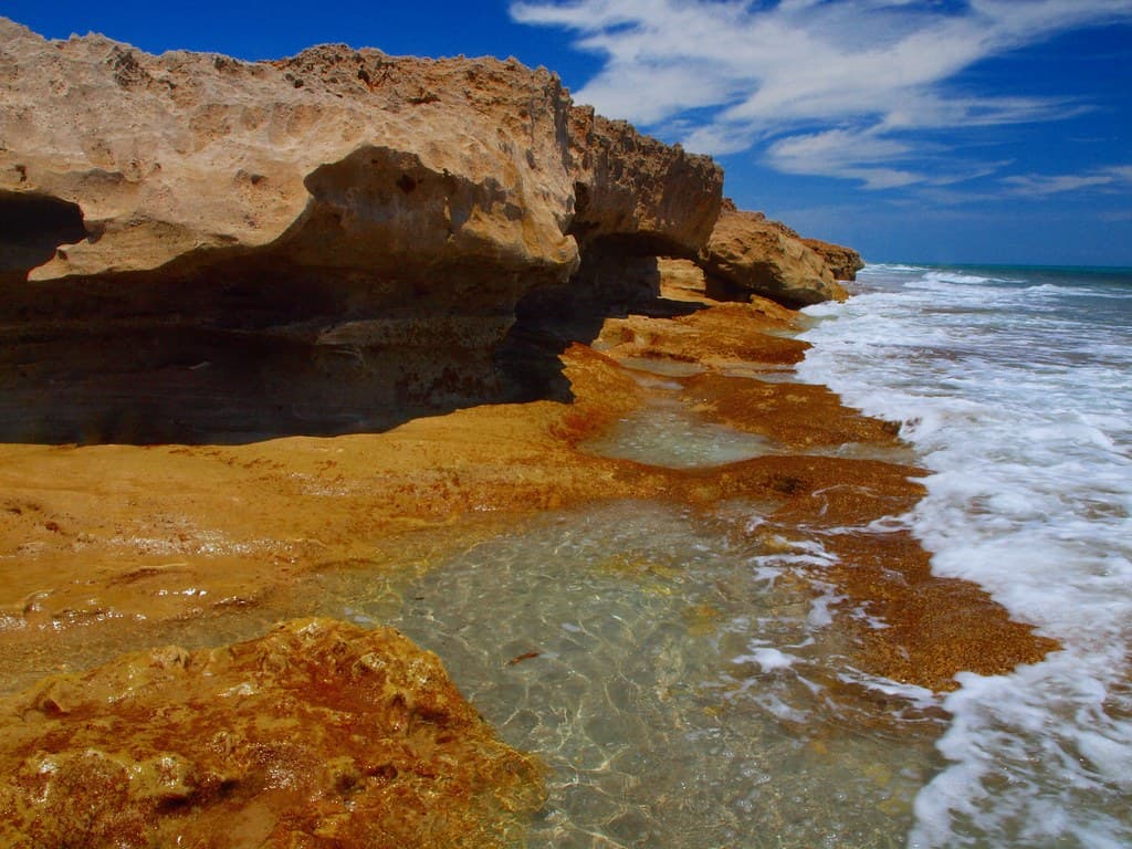 Low Tide: Blowing Rocks Nature Preserve