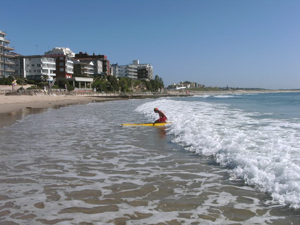 Surf Club Member