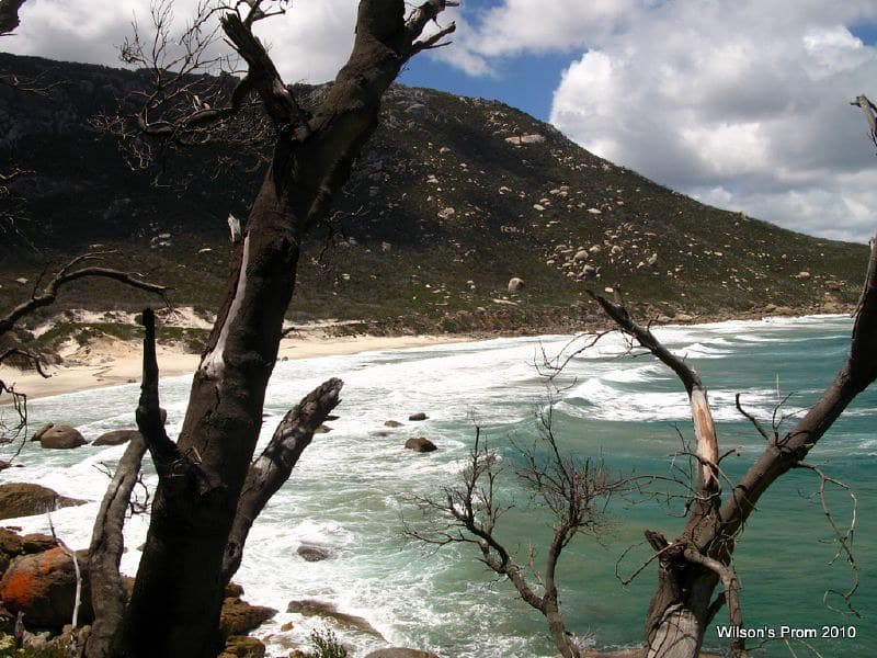Little Oberon Bay