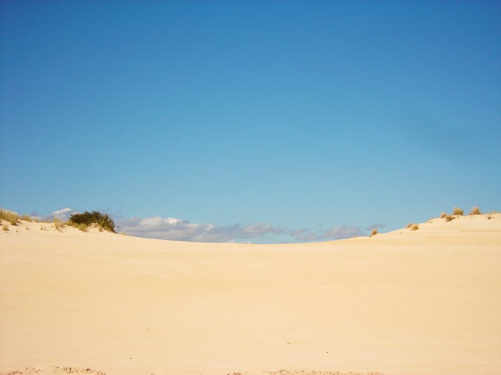 henty sand dunes