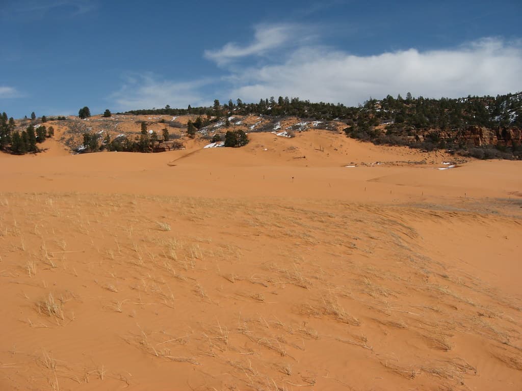 Coral Pink Sand Dunes, Kane County, Utah