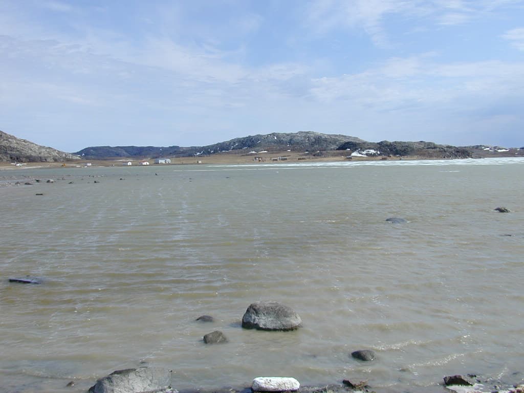Umingmaktok