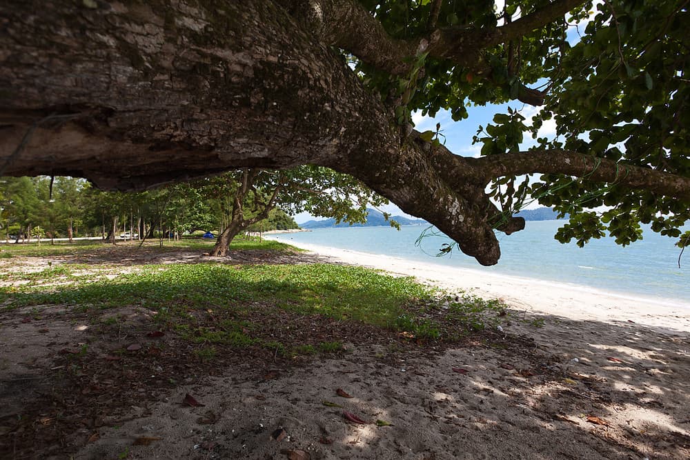 Teluk Senangin Beach