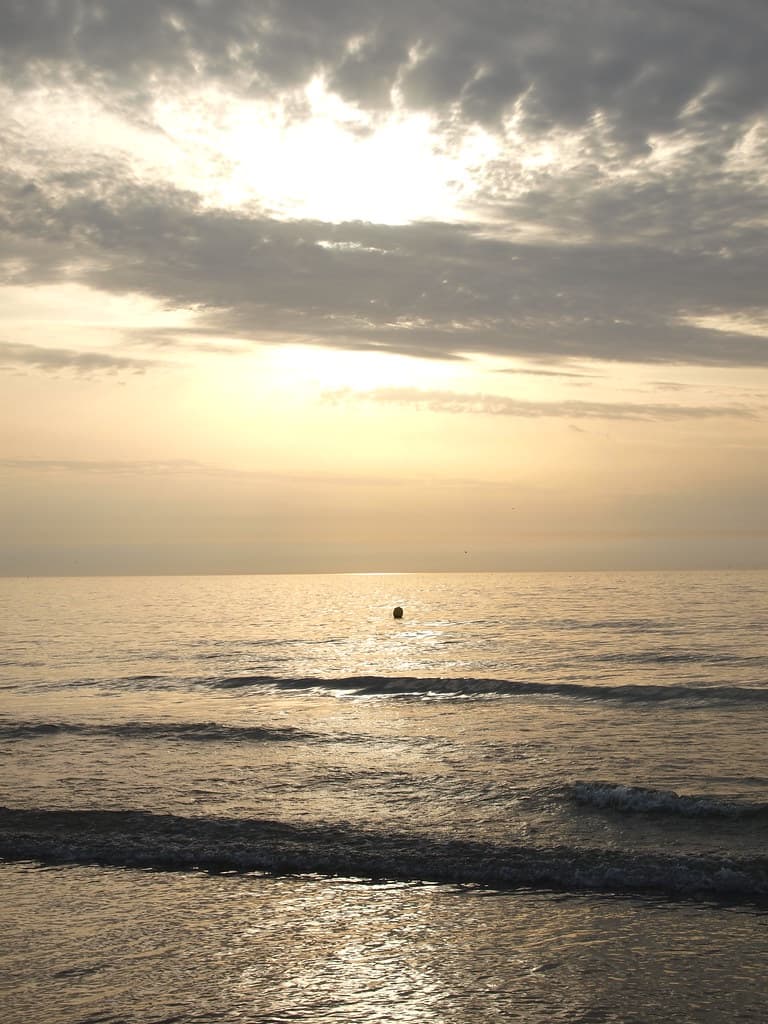 Mar del norte