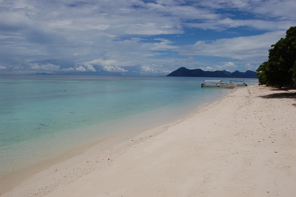 Pom Pom Island