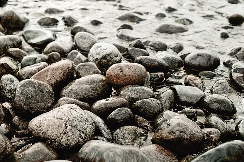 Shore (Out On The Sea 8)