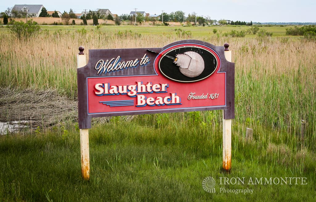 Slaughter Beach Sign